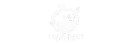 Partner 22